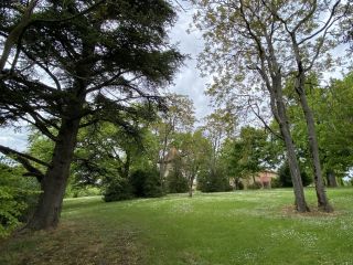 house 30 Rooms for sale on LAVAUR (81500)