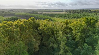 château 24 Pièces en vente sur TOULOUSE (31000)