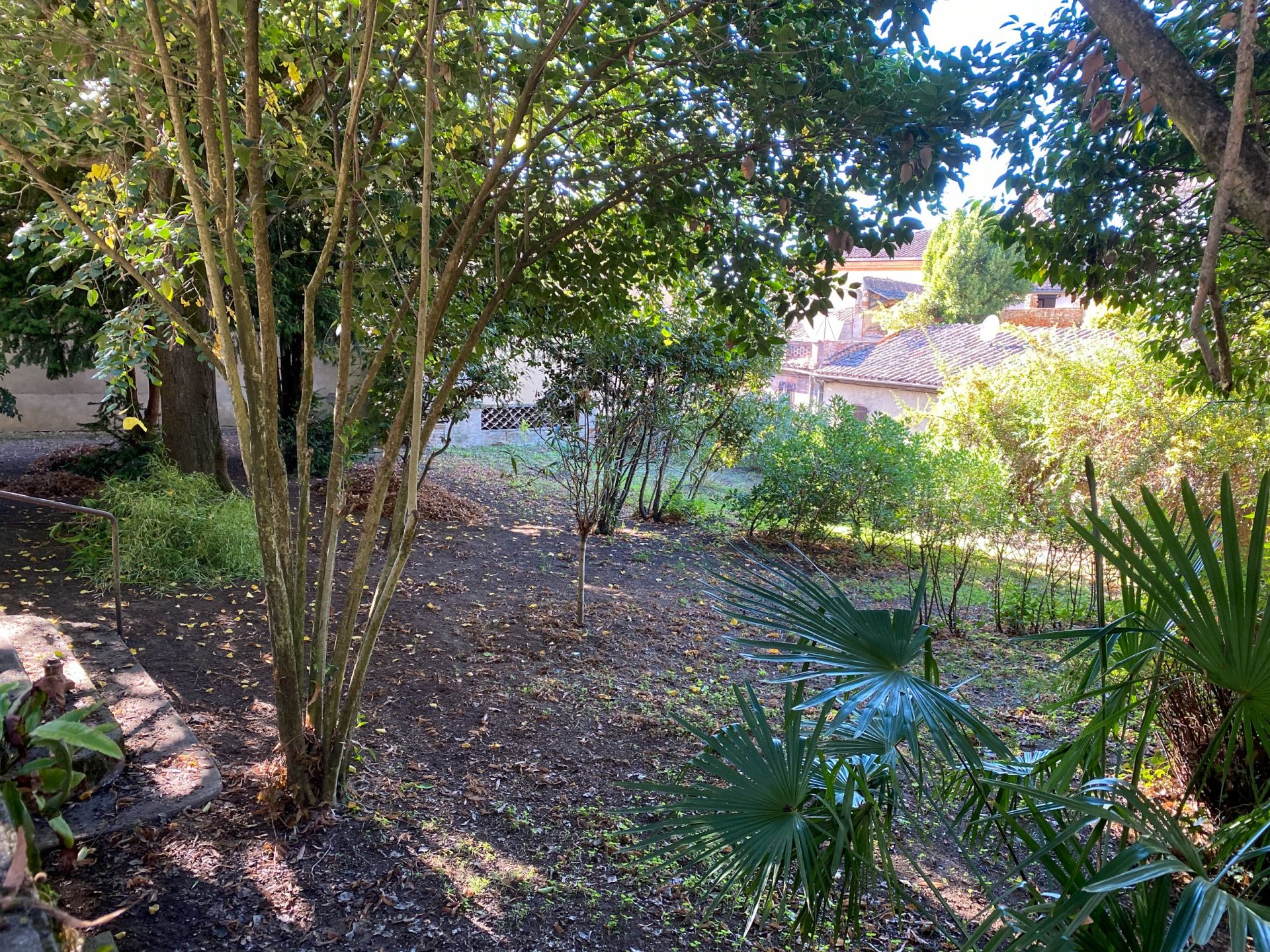 house 16 Rooms for sale on GRENADE (31330)