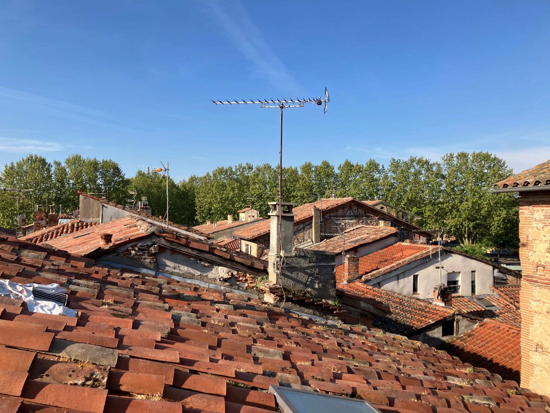 apartment 2 Rooms for rent on LAVAUR (81500)