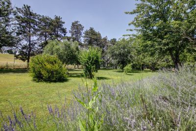 Vente Maison Lavaur 8&nbsp;Pièces 370&nbsp;m²