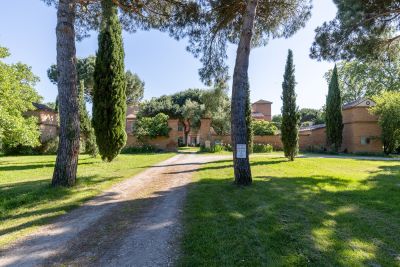 Vente Maison Toulouse 20&nbsp;Pièces 645&nbsp;m²