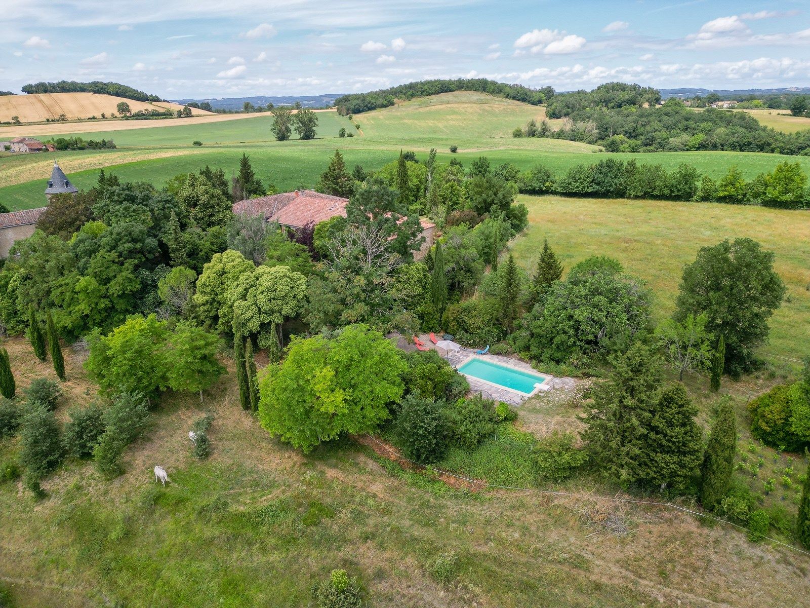 house 12 Rooms for sale on ST PAUL CAP DE JOUX (81220)