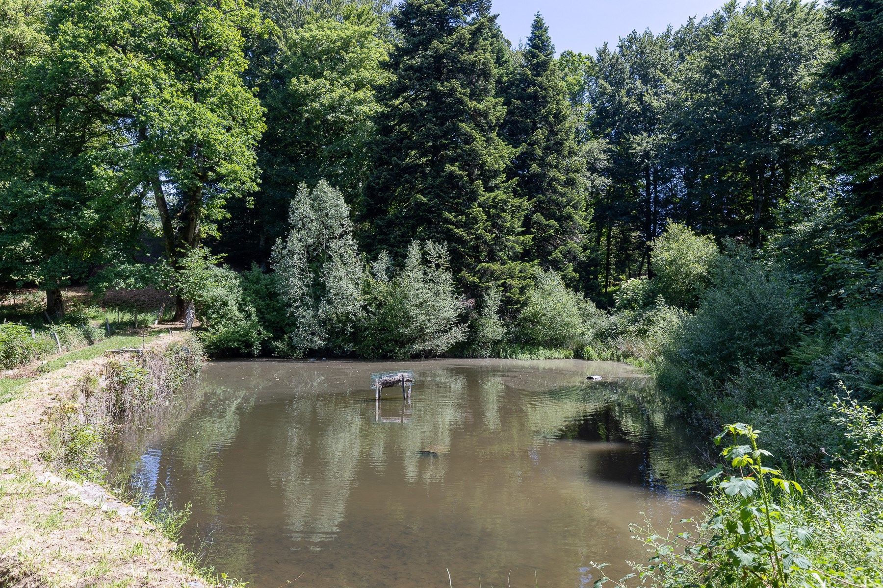maison bourgeoise 42 Pièces en vente sur SOREZE (81540)