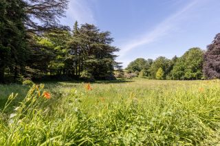 maison bourgeoise 42 Pièces en vente sur SOREZE (81540)