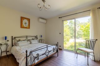 house 16 Rooms for sale on LAVAUR (81500)