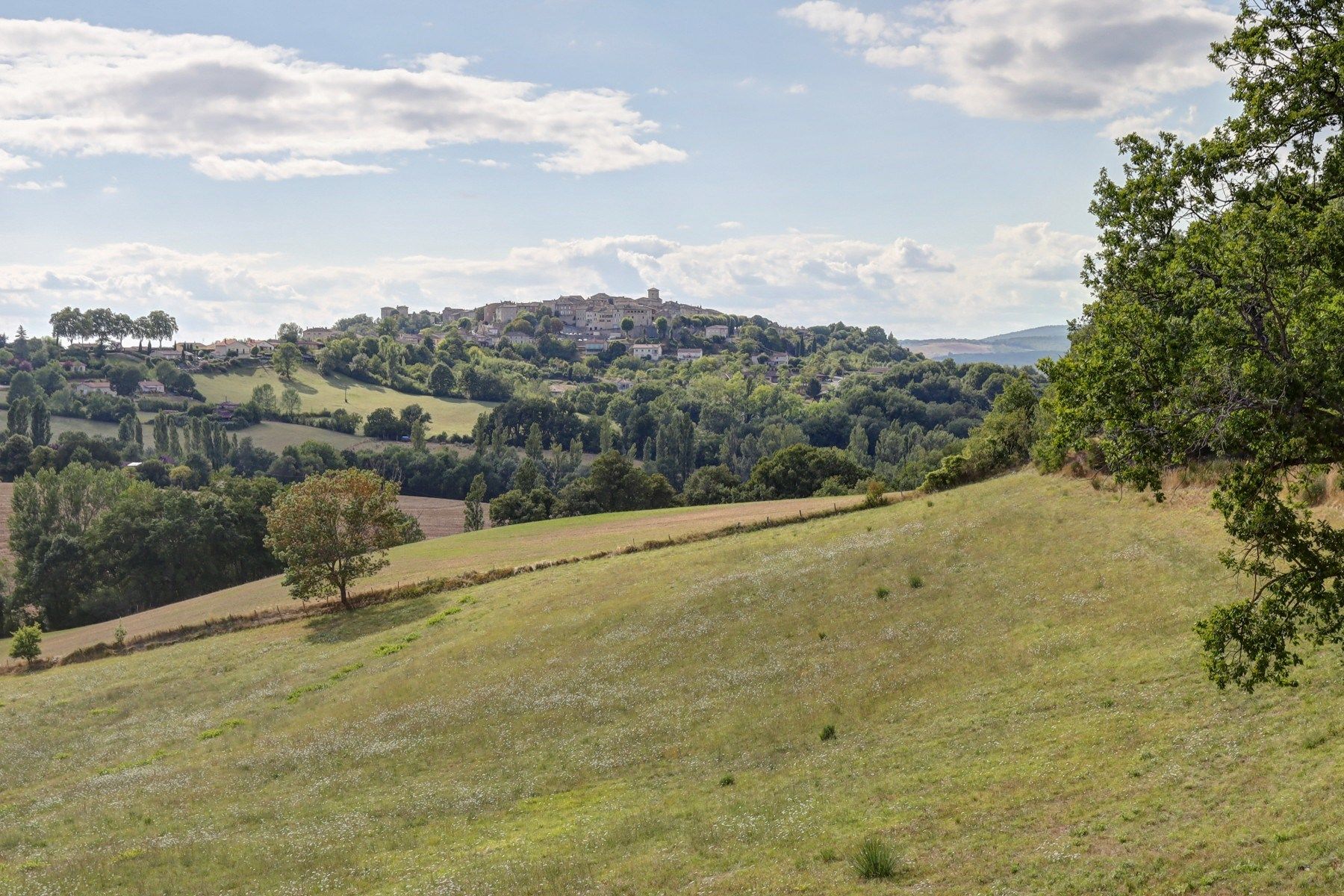 house 10 Rooms for sale on CASTELNAU DE MONTMIRAL (81140)