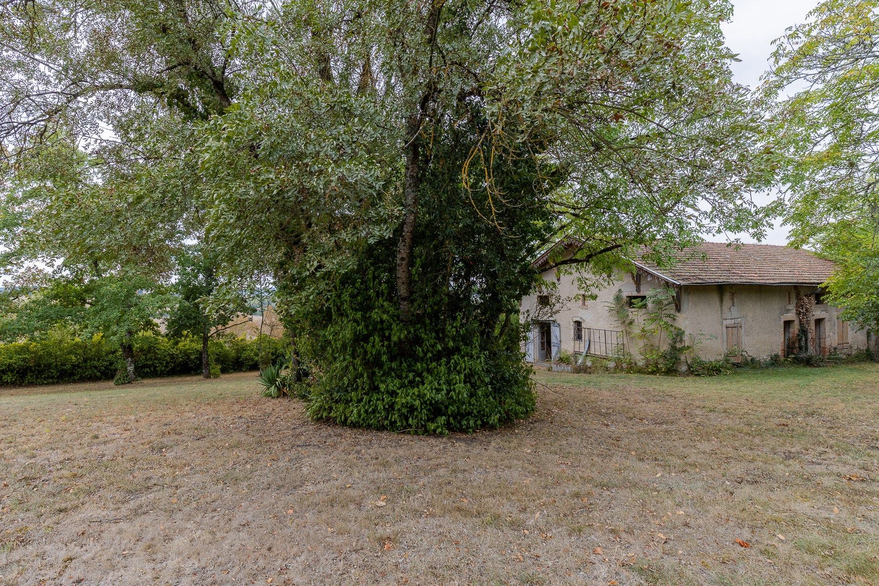mansion 15 Rooms for sale on LAVAUR (81500)