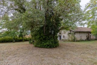 mansion 15 Rooms for sale on LAVAUR (81500)