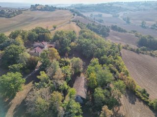 mansion 15 Rooms for sale on LAVAUR (81500)