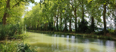 Louez et faites gérer votre bien 