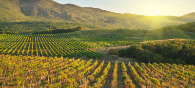 Confiez nous votre recherche de bien de prestige